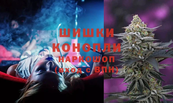 соль ск Абаза