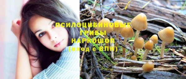 соль ск Абаза