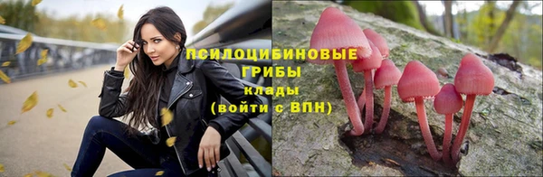 соль ск Абаза