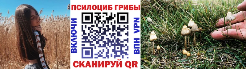 Галлюциногенные грибы ЛСД  Хадыженск 